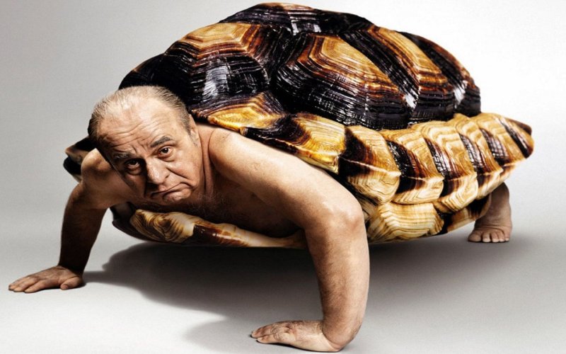 Коко джамбо черепаха головочлен