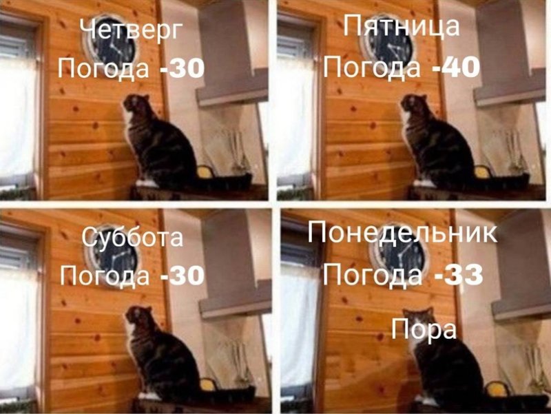 Мем с котом и часами