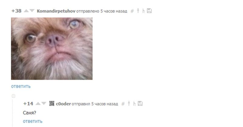 Помоги выбраться из собаки