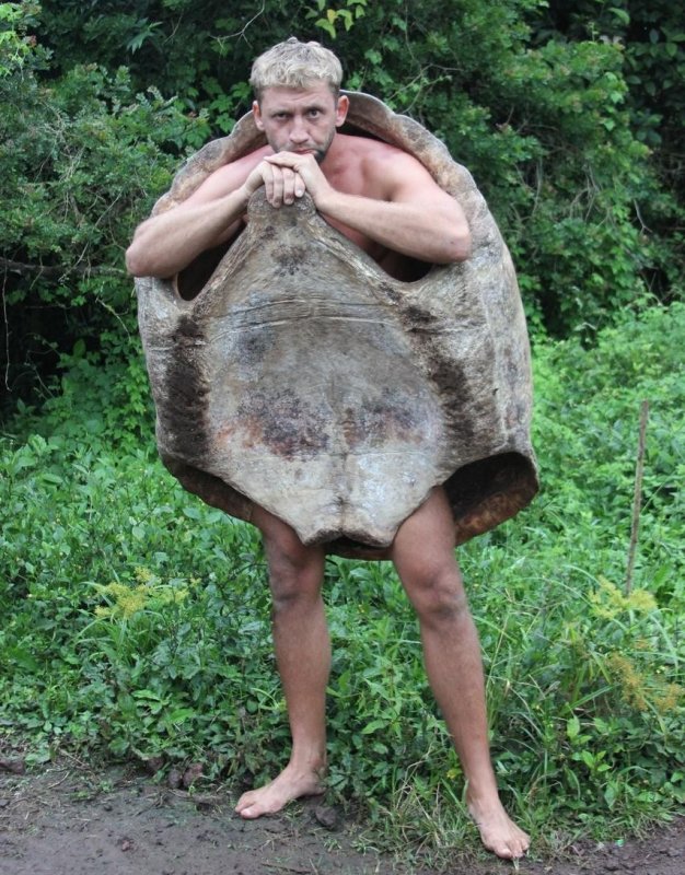 Уродливая черепаха