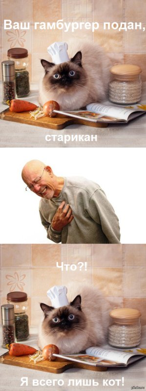 Кот в поварском колпаке