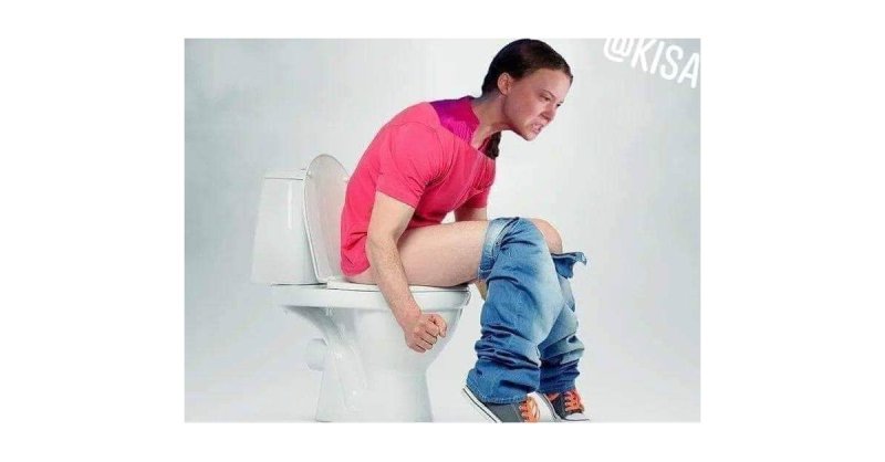 Мемы про туалет