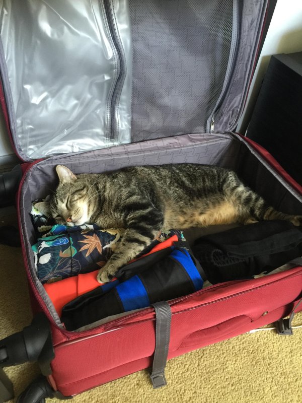 Собранный чемодан