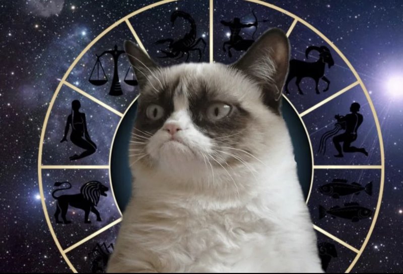 Смешная астрология