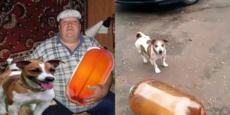 Собака батон