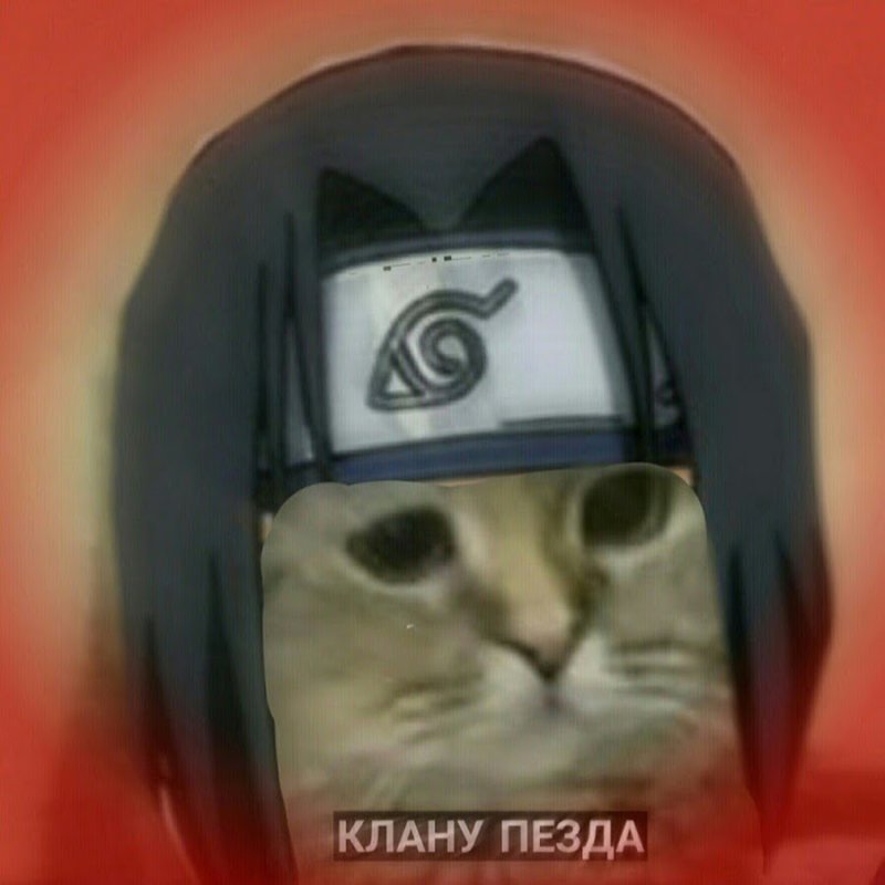 Кот Итачи ава