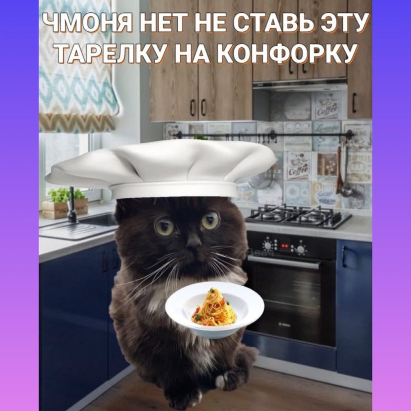 Чмоня Геншин