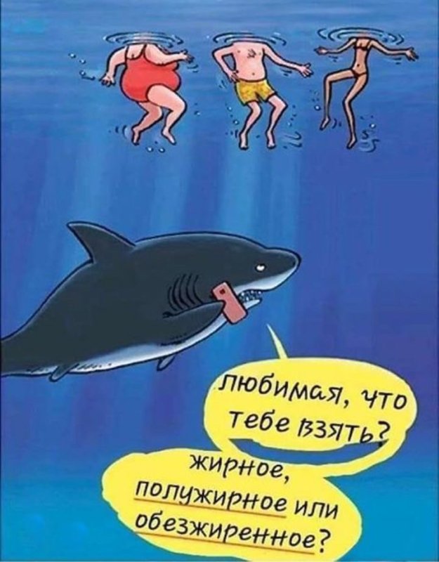 Смешные анекдоты с акулами