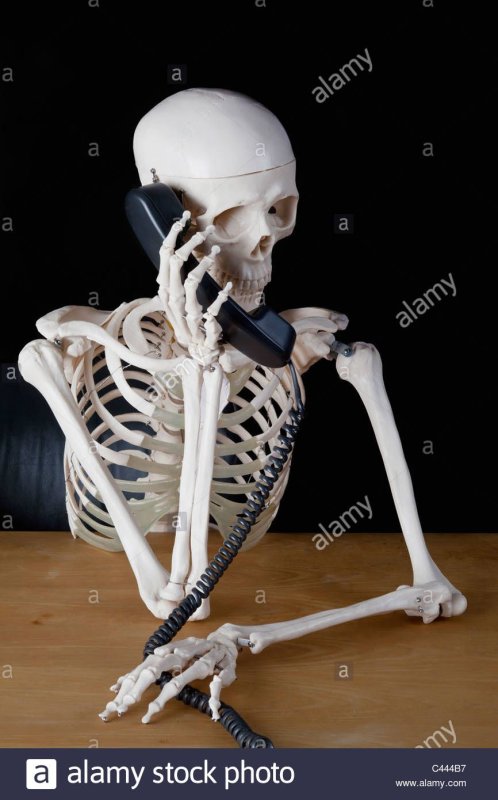 Скелет с телефонной трубкой