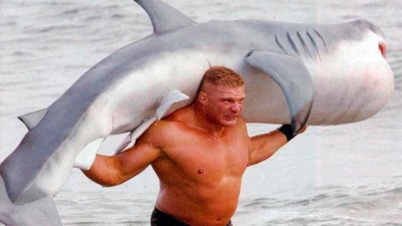 Акула прикол