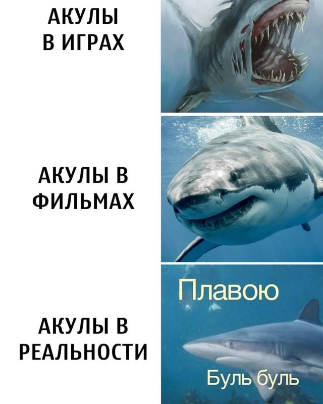 Акула Мем