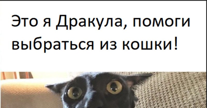 Помогитвыбраться из собаки