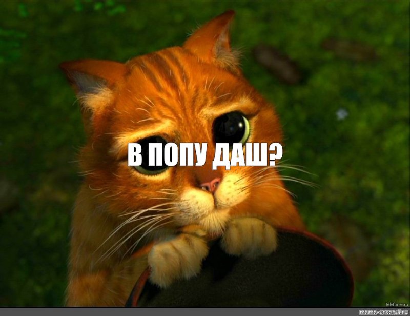 Кот в сапогах глаза