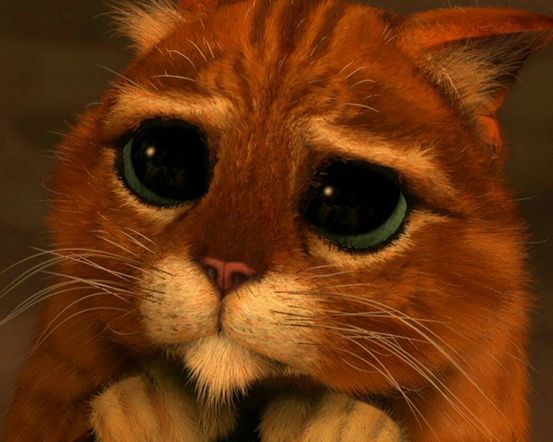 Кот в сапогах Шрек