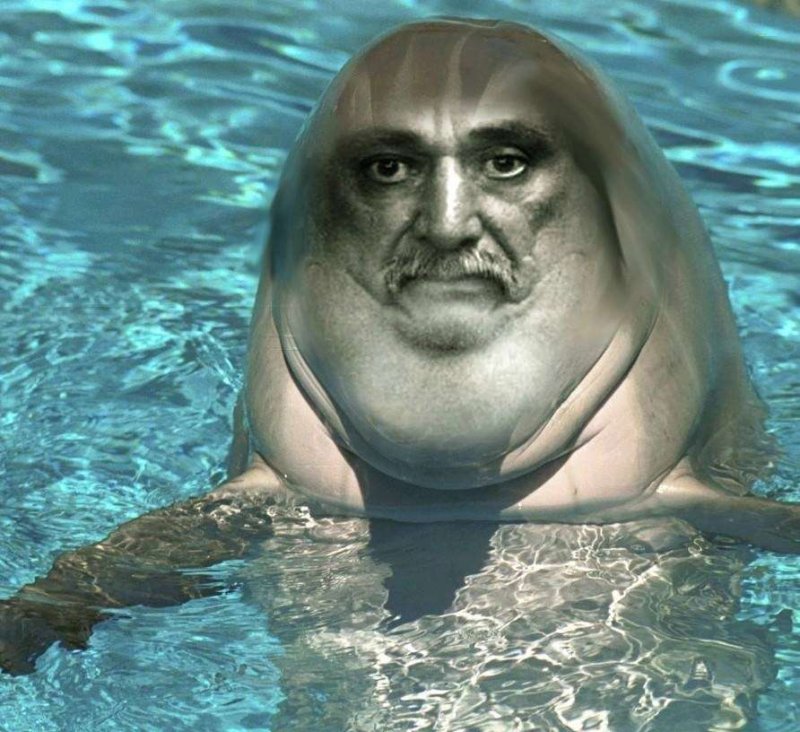 Толстый Дельфин