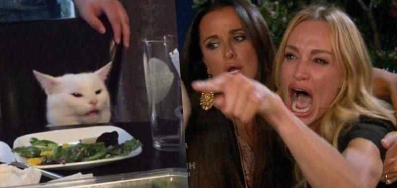 Мемы с котом за столом