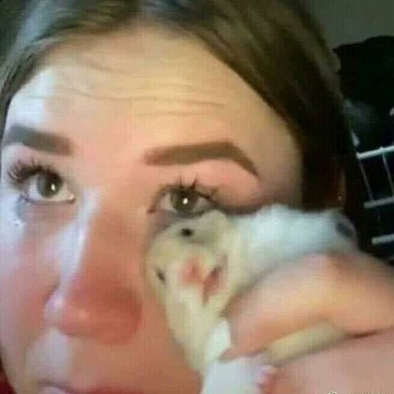 Вытирает слезы хомяком