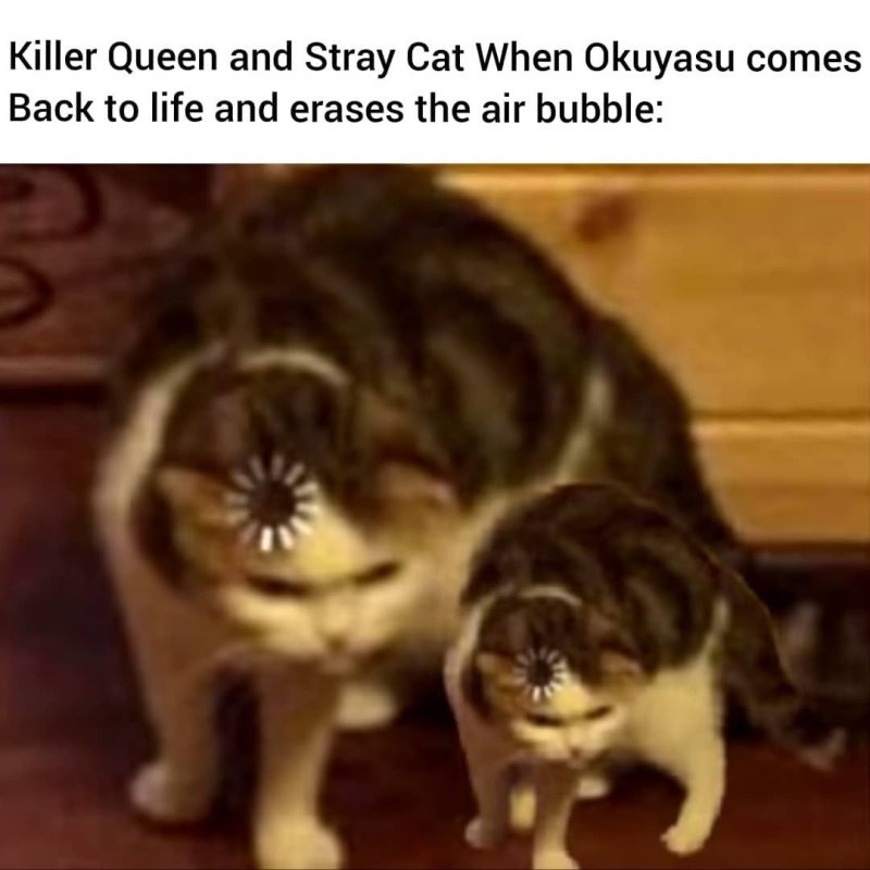 Кот загрузка Мем