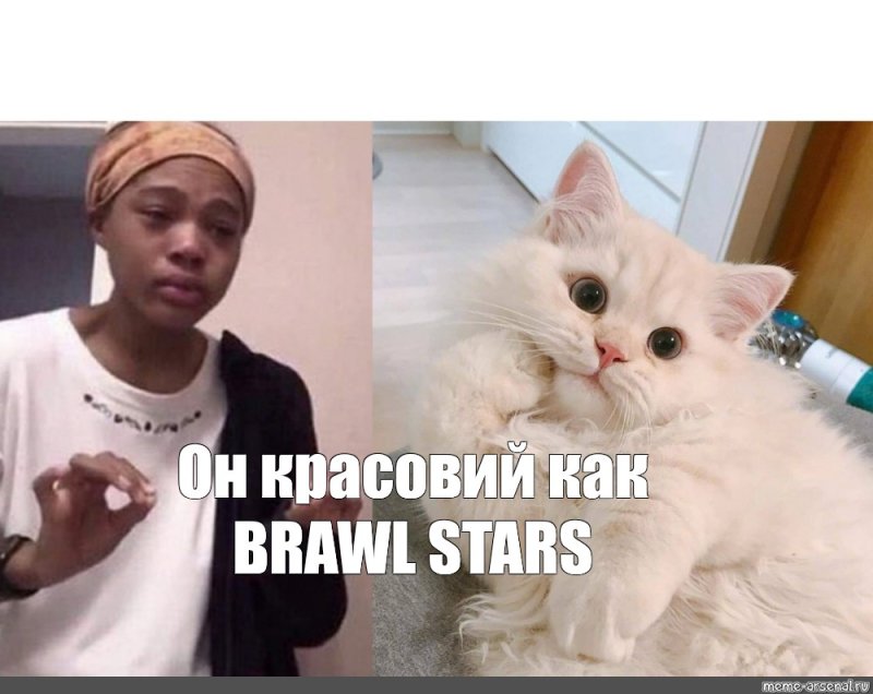 Туть шаблон