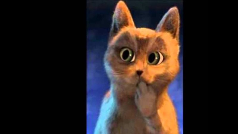 Удивленный кот в сапогах