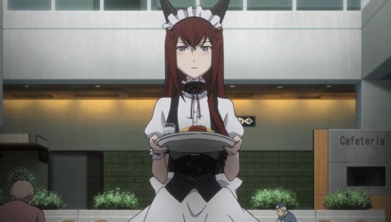 Врата Штейна аниме