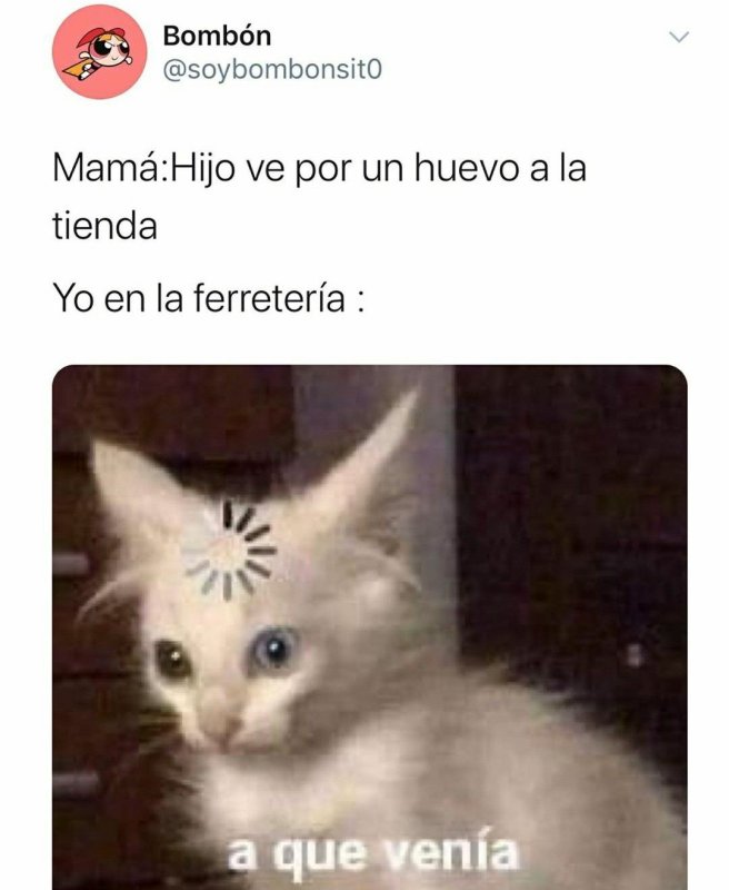 Кот с загрузкой на голове