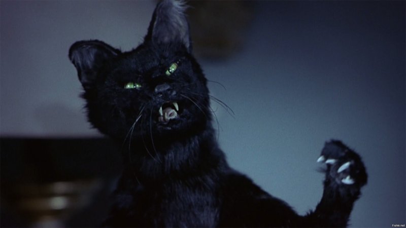 Сабрина маленькая ведьма кот