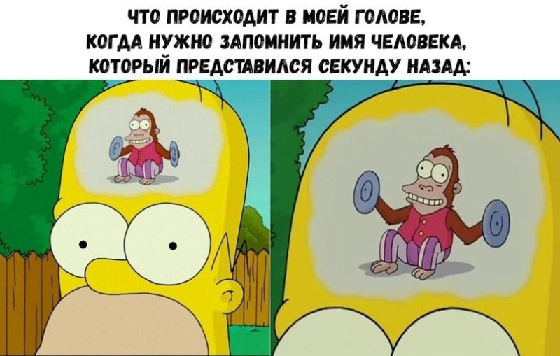 В моей голове