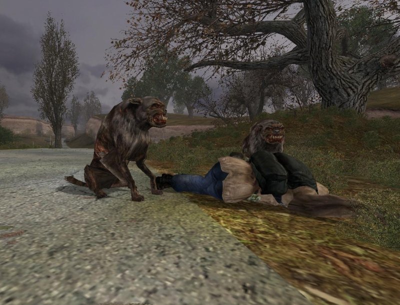 Псевдособака сталкер Зов Припяти