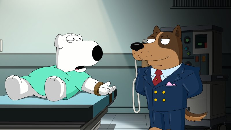 Лоис Гриффин Брайан Гриффин 18