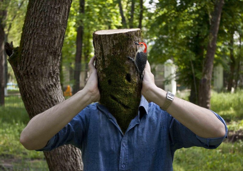 Человек на пеньке