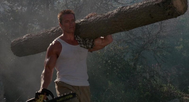 Арнольд Шварценеггер командо