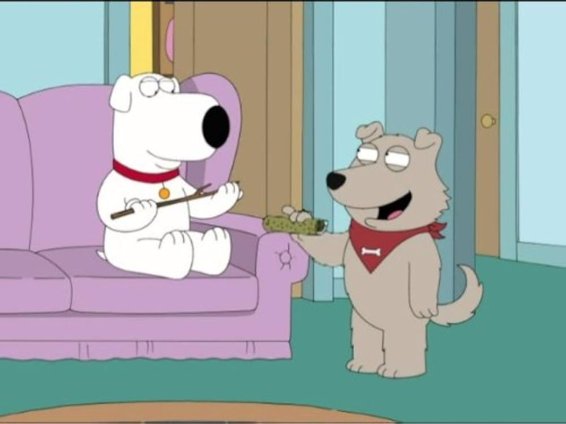 Брайан собака Гриффины