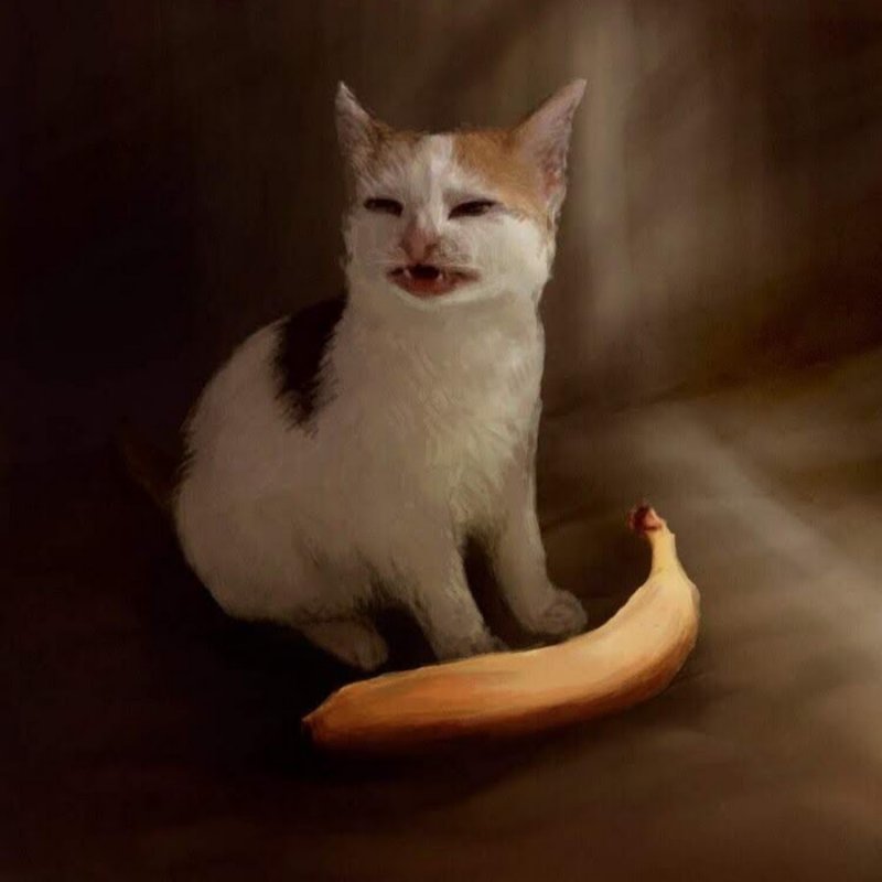Кот банан