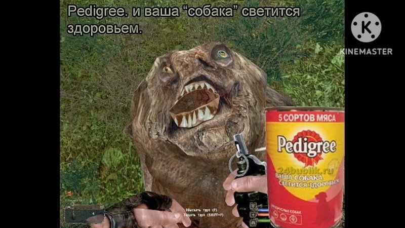 Сталкер приколы