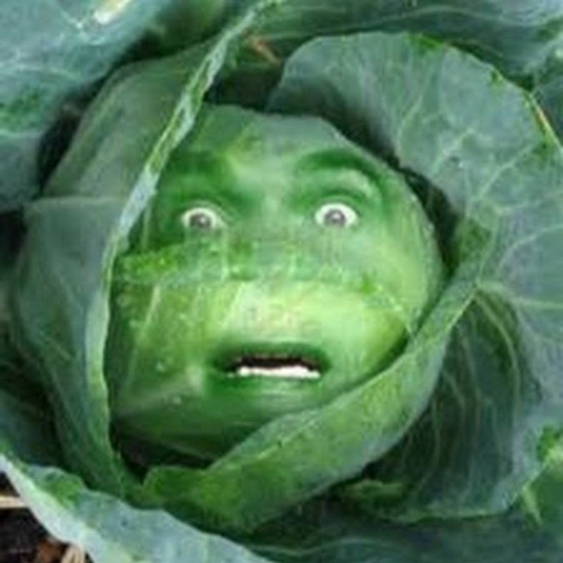 Овощи с лицами