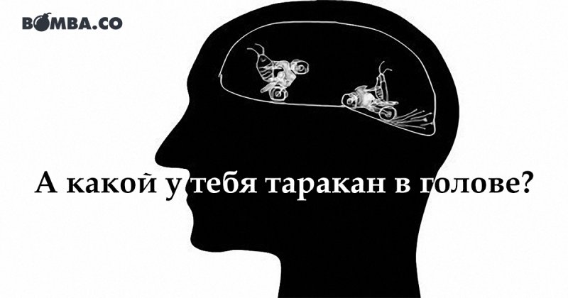 Тараканы в голове