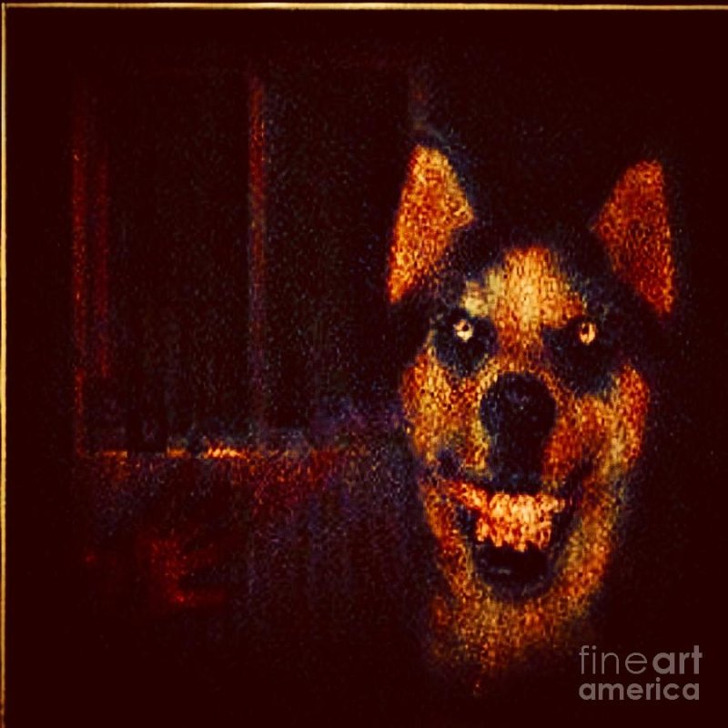 Смайл дог красная собака