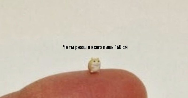 Крошечный котенок на пальце