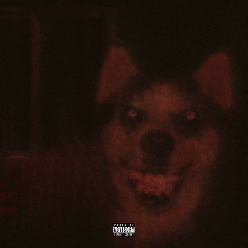 Крипипаста smile Dog оригинал