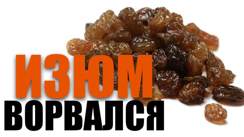 Изюм прикольные картинки