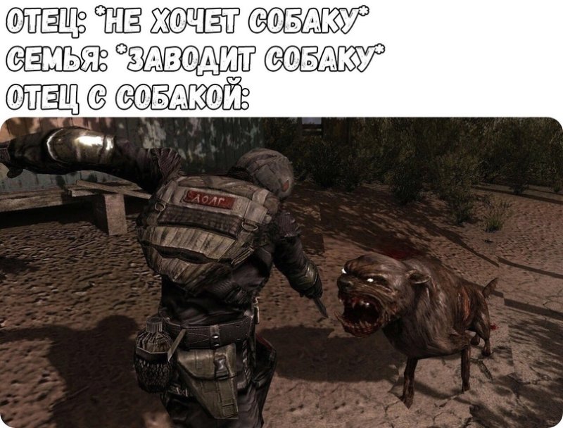Мемы сталкер 2023