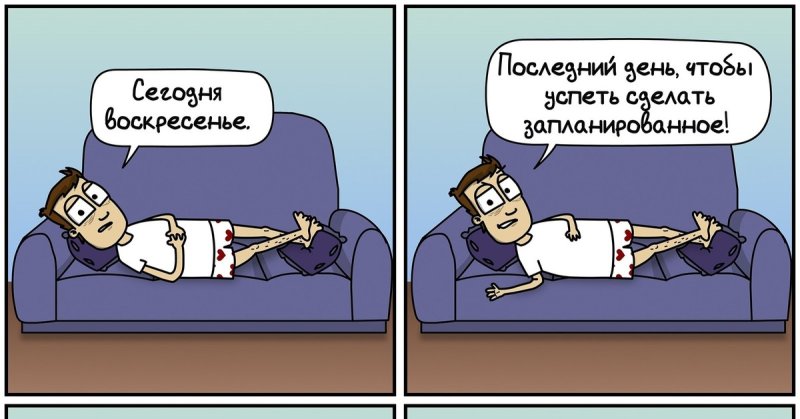 Приколы про лень
