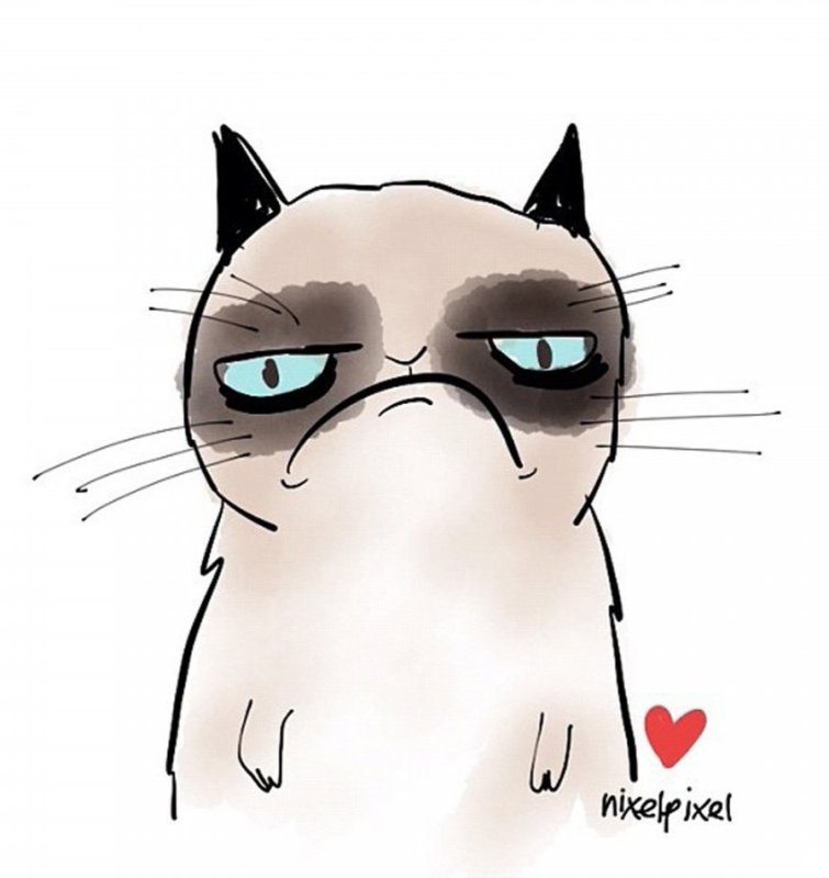 Мемы с котиками