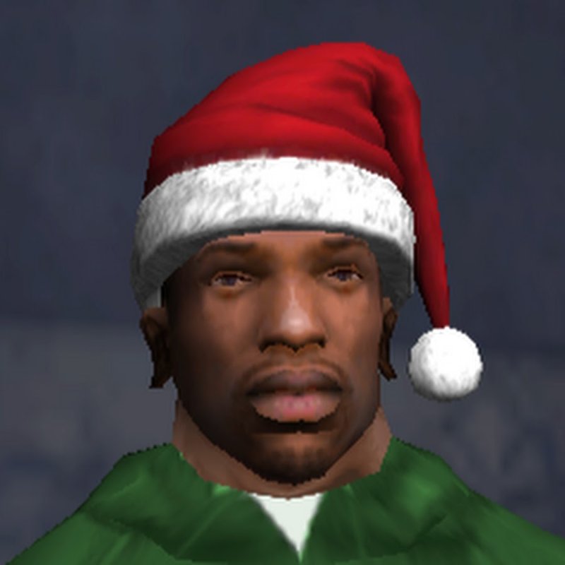 Сиджей в новогодней шапке
