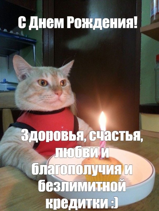 Мемы с днём рождения