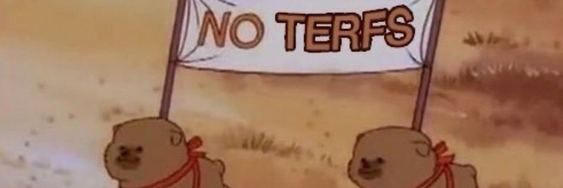 Дайте деняк кот