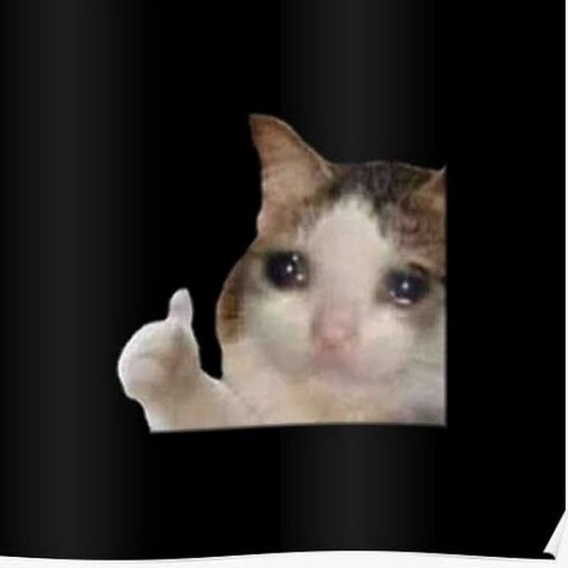 Плачущий кот