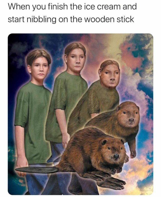 Превращение человека в животное