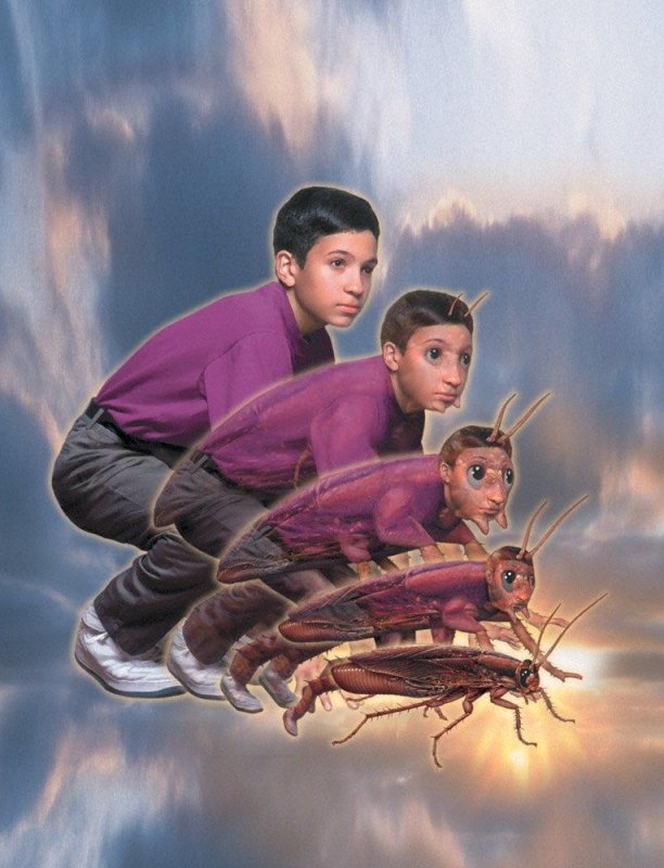 Аниморфы сериал